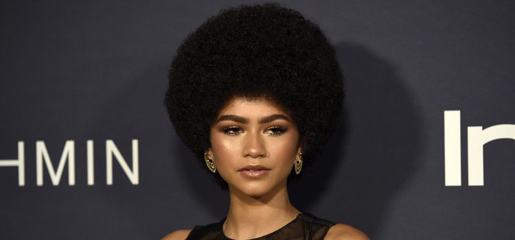 Zendaya luciendo pelo afro
