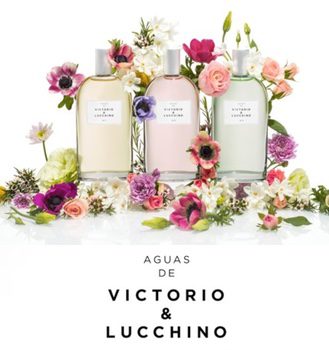 Las 3 Aguas de Victorio & Lucchino con las que alegrar los días fríos y lluviosos