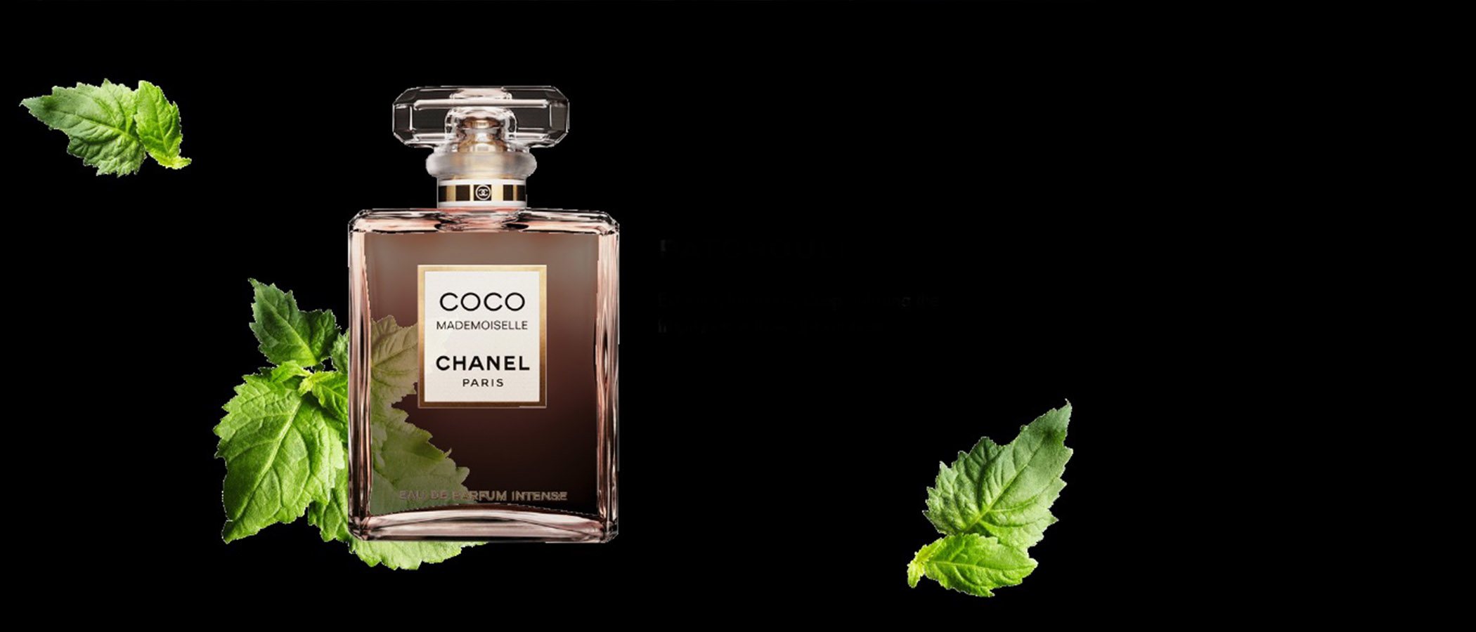 'Coco Mademoiselle Intense', una de las fragancias mas icónicas de Chanel vuelve en su reedición más especial