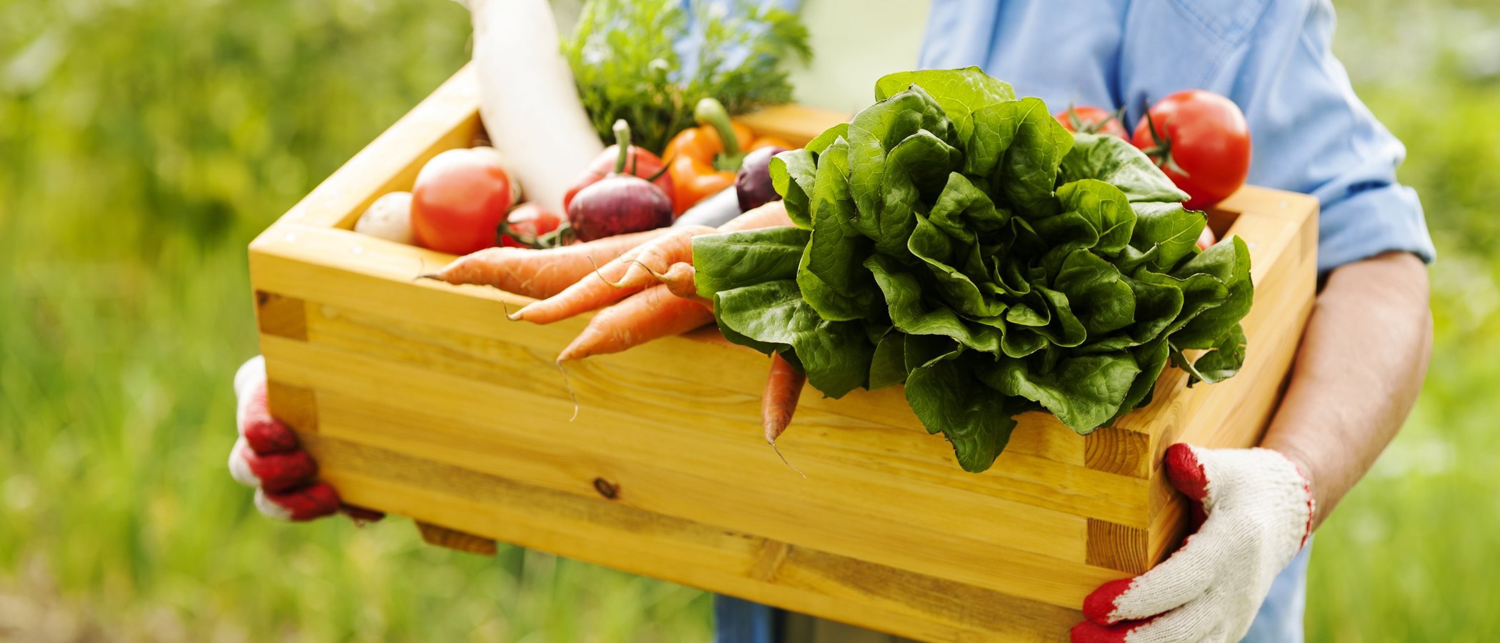 Régimen para hipotiroidismo: alimentos recomendados