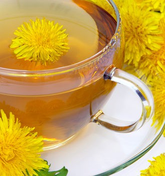 Elimina la celulitis con plantas medicinales