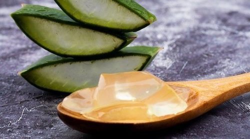 Las propiedades de la sábila para el cabello