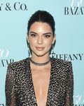 Kendall Jenner con recogido y mirada felina