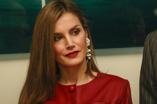 La Reina Letizia en el aniversario de la fundación Reina Sofía