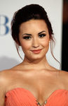 Demi Lovato con recogido y mechones sueltos
