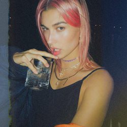 Hailey Baldwin arranca 2018 luciendo melena mini rosa