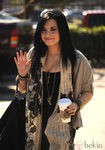 Demi Lovato con media melena morena