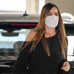 La melena perfecta de Sofia Vergara para irse de compras