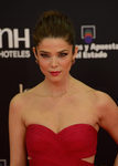 Juana Acosta con un recogido classic