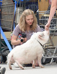 Amanda Seyfried con un look aviejado en el rodaje de 'The Clapper'