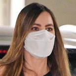 El perfecto alisado de Sofía Vergara